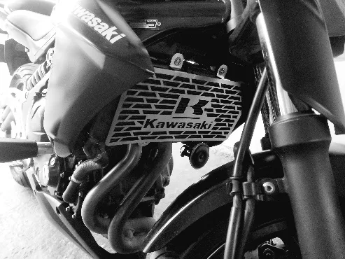 PROTECTOR RADIADOR KAWASAKI ER-6N