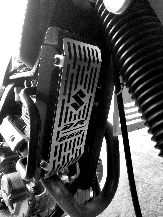 PROTECTOR RADIADOR DR650